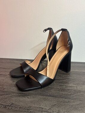 Black Women's Block Heel Sandals with Ankle Strap